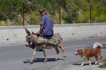 Albania