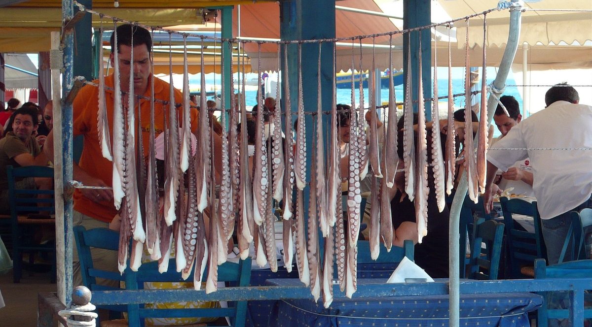 polipkarok