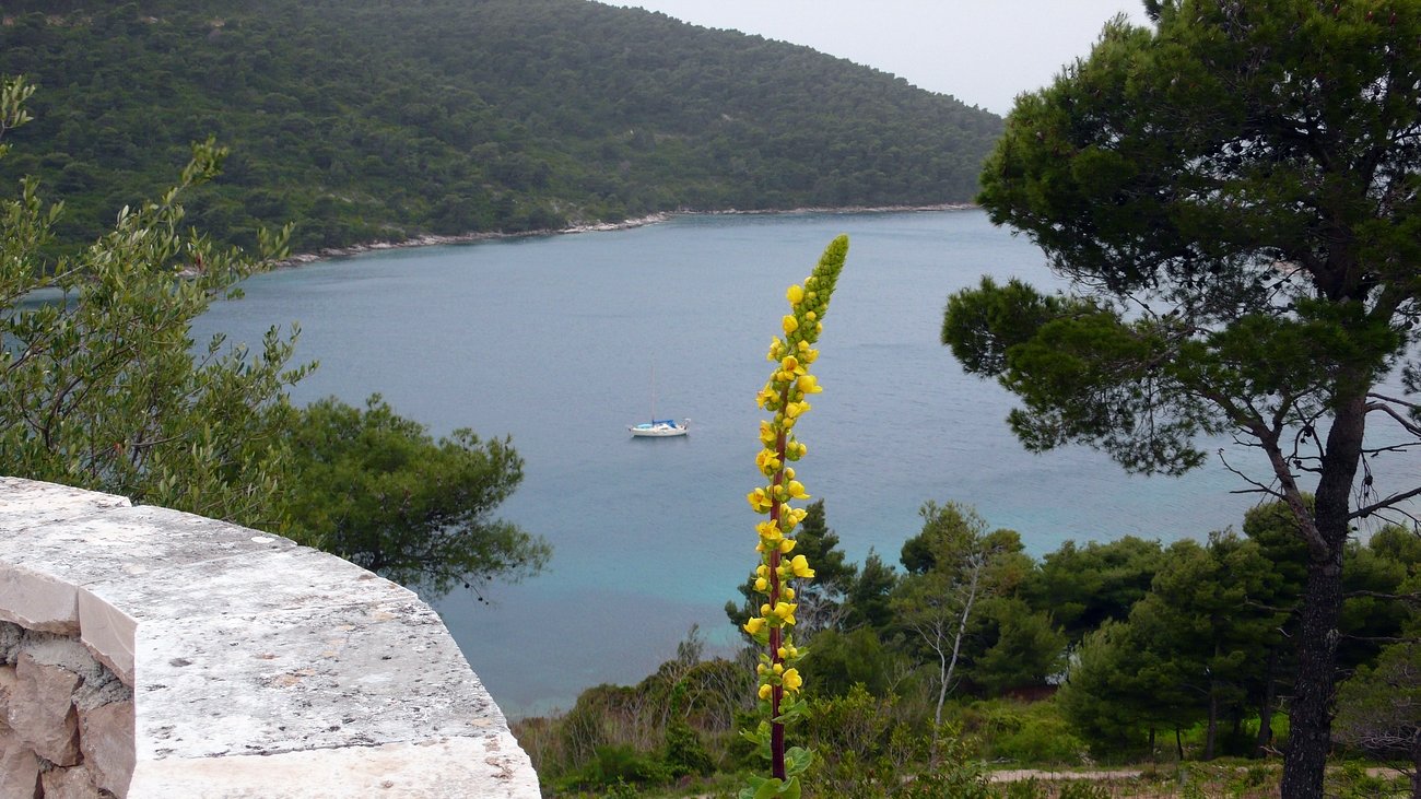 Zuljana Peljesac-flsziget