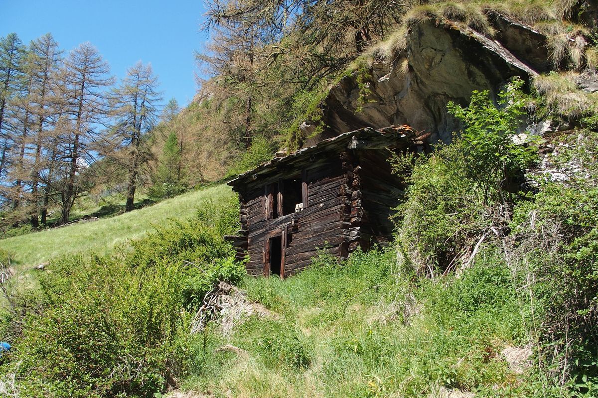 Zermatt szenaszarito
