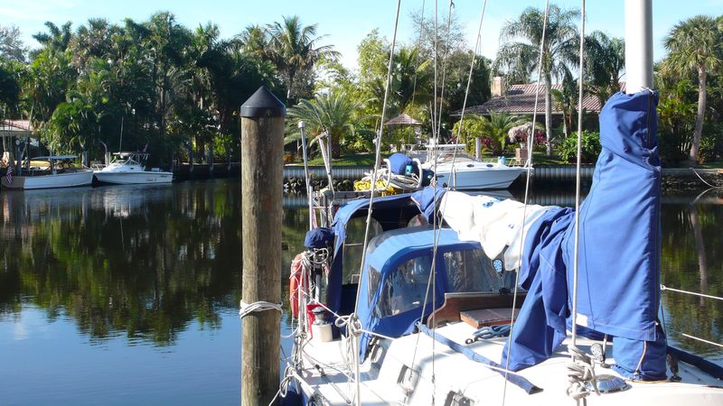 vashajo Miami