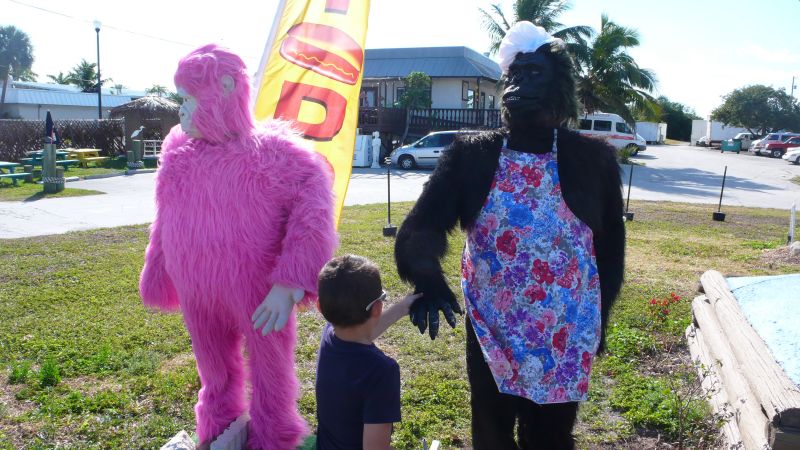 gorilla