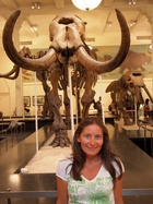 mamut csontvaz