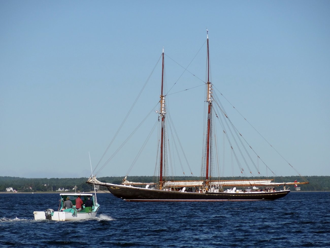 Bluenose II