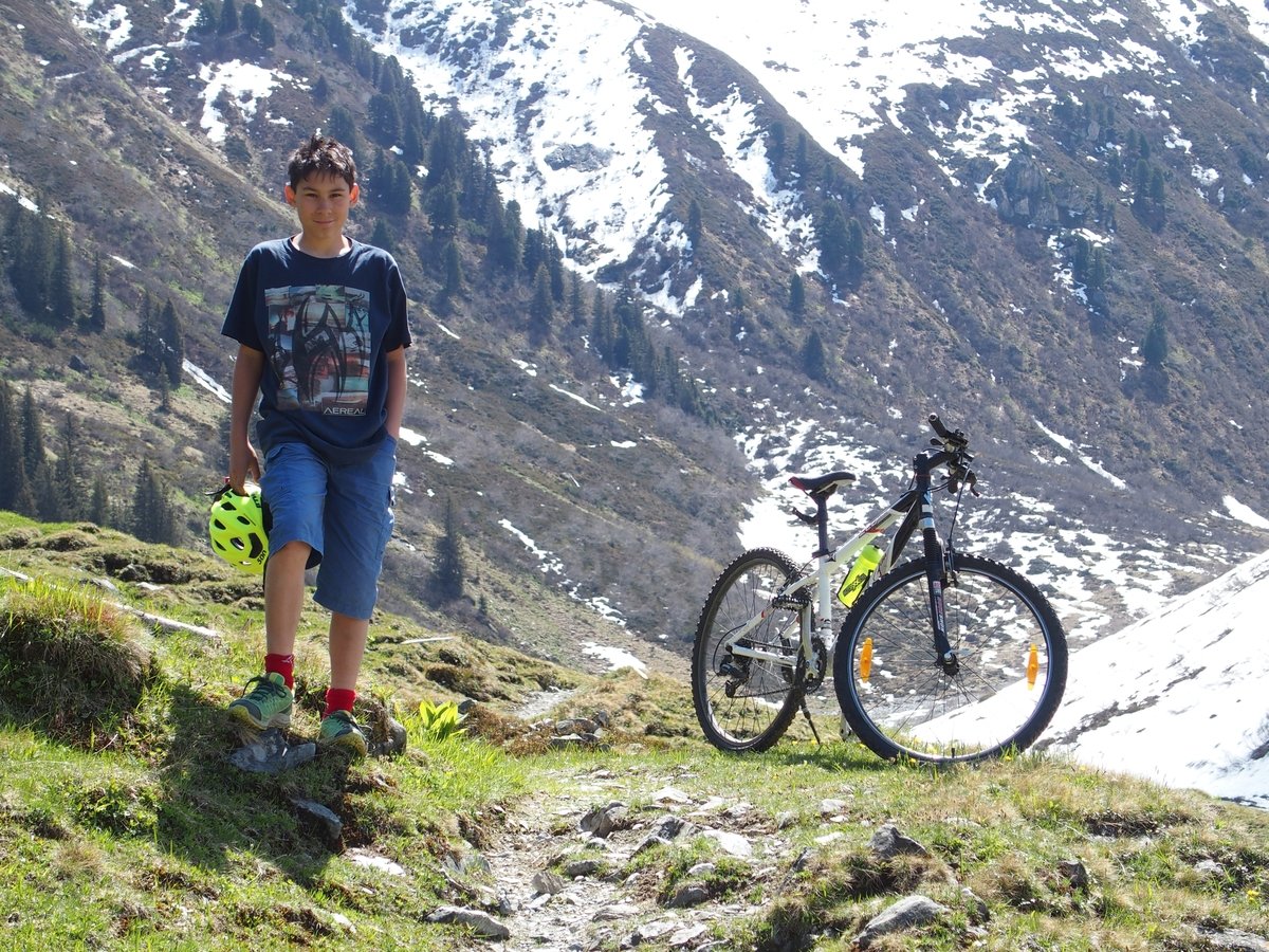  lmi mountain bike