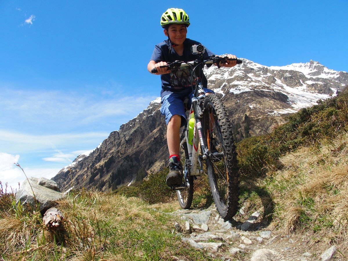  lmi mountain bike
