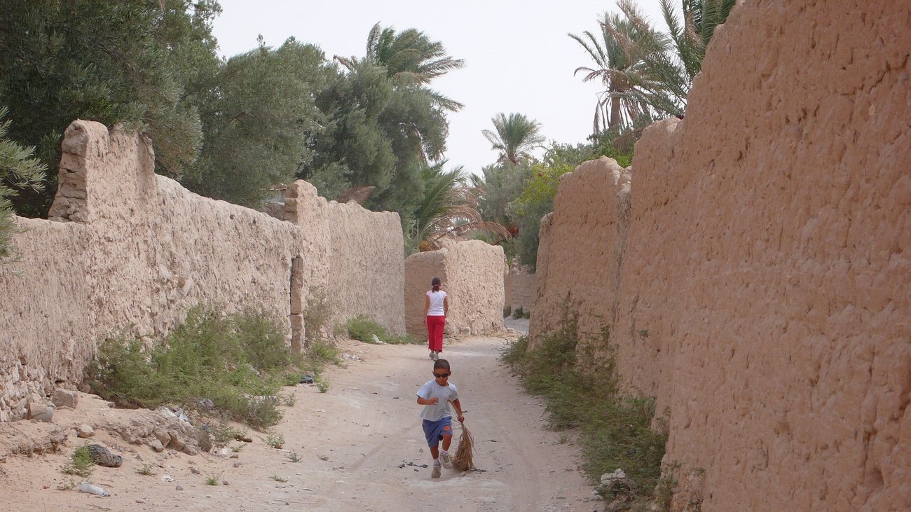 Palmyra oazis