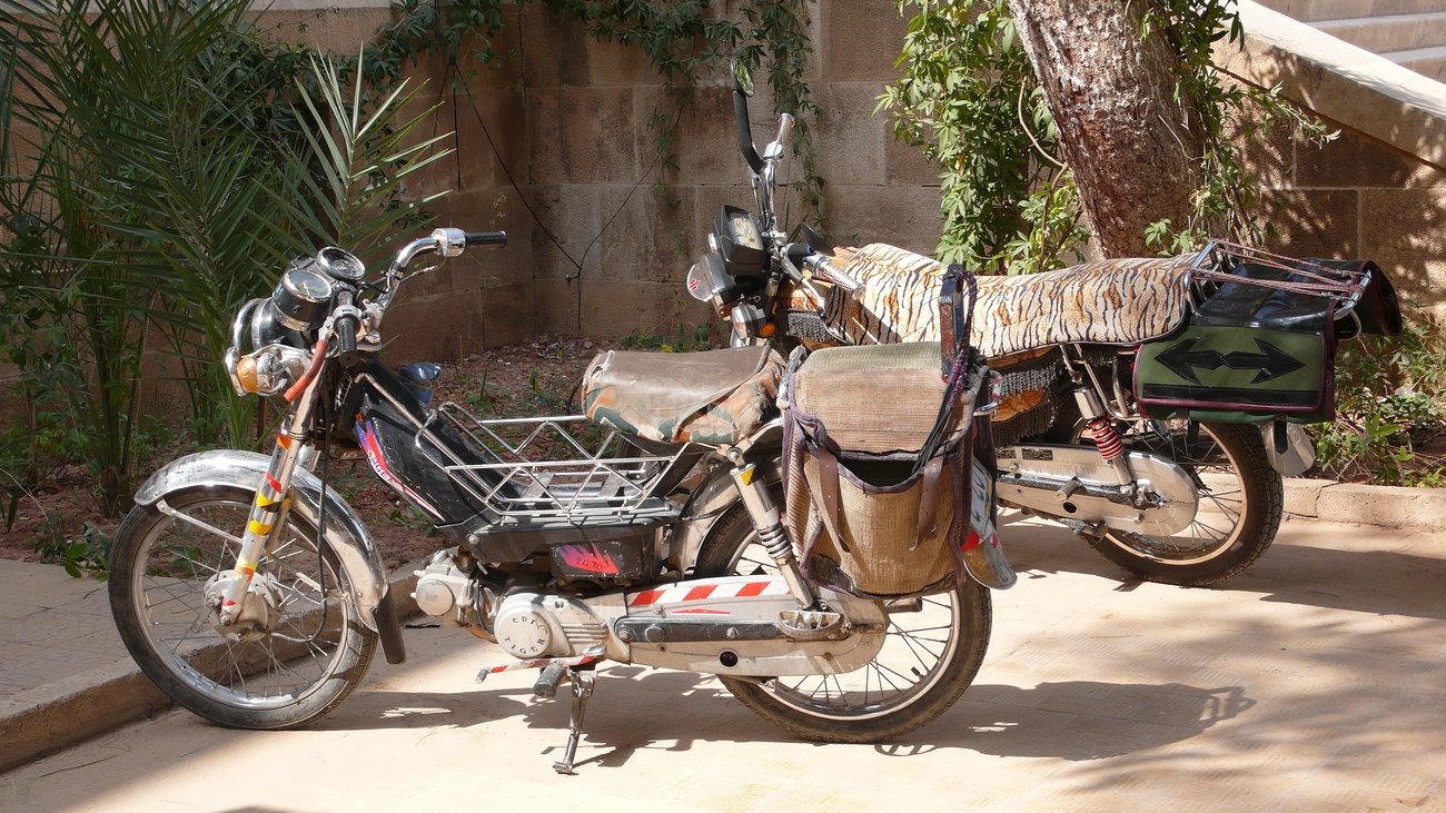 motorok Palmyra