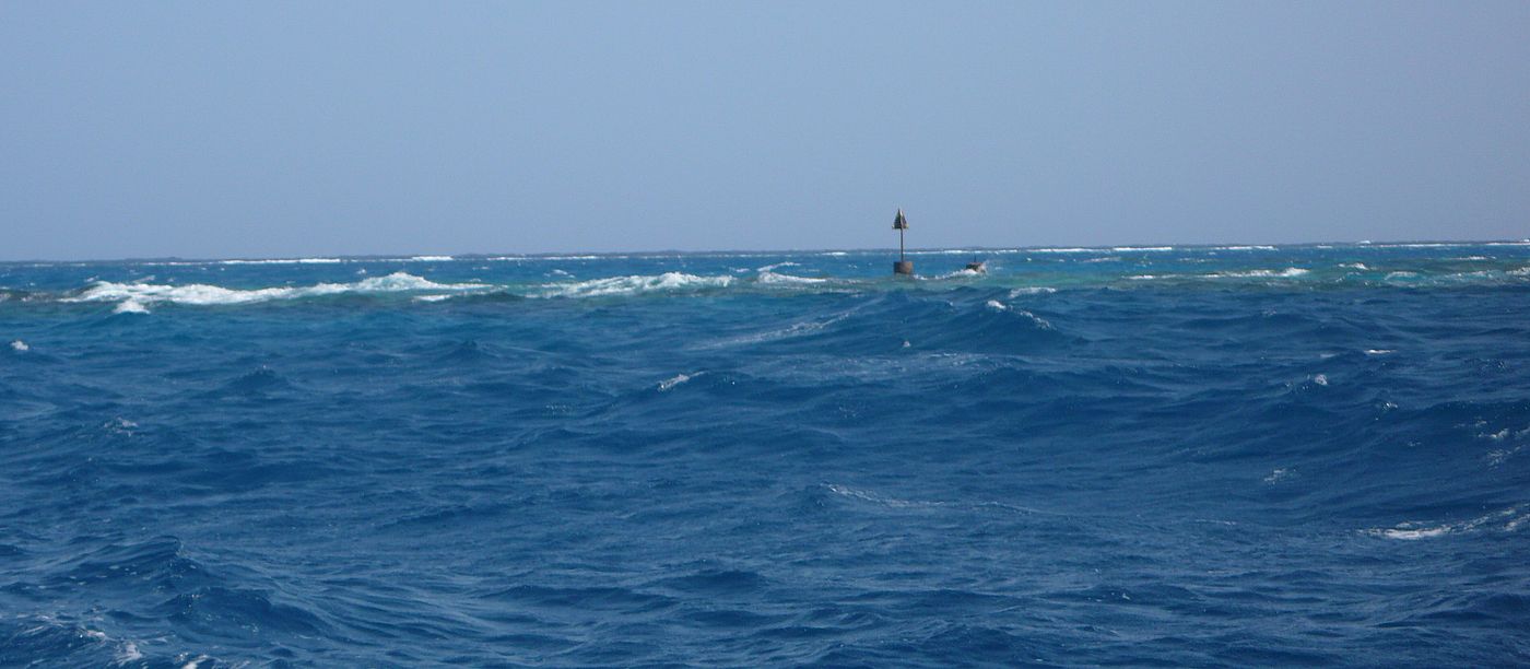 Sanganeb reef Szudan