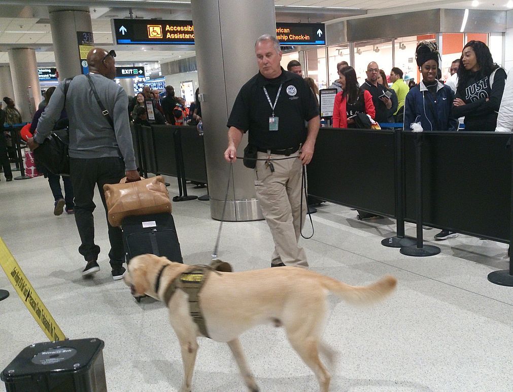 Miami Airport