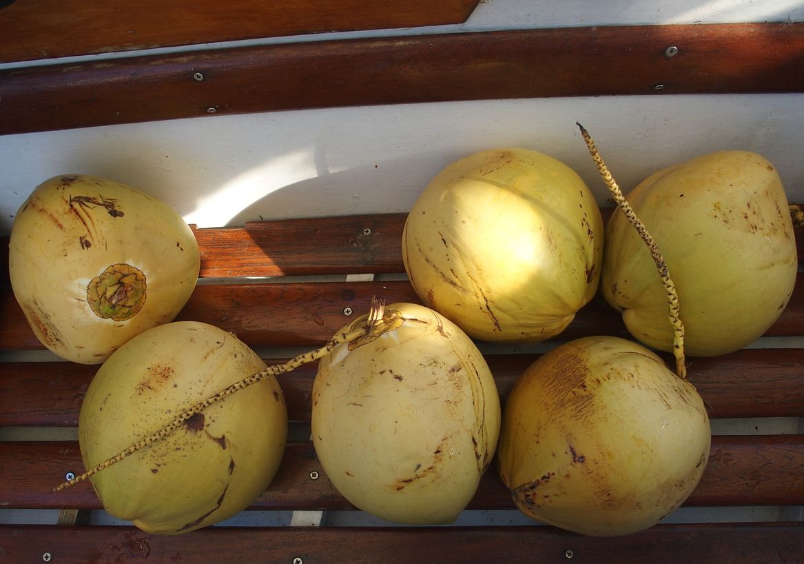 coconut