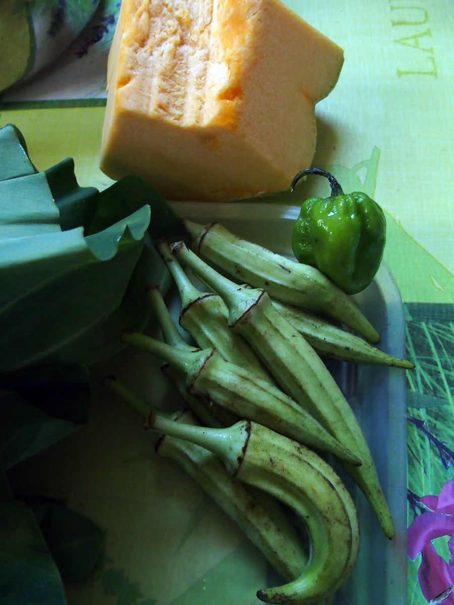 pumpkin ocre