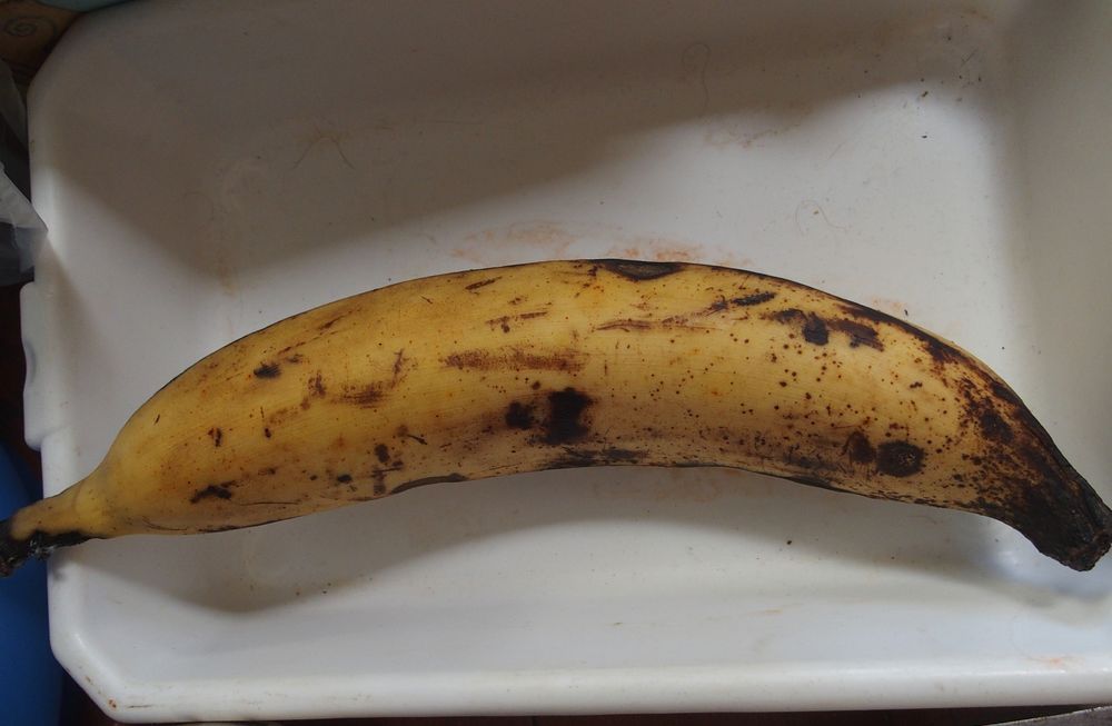 plantain