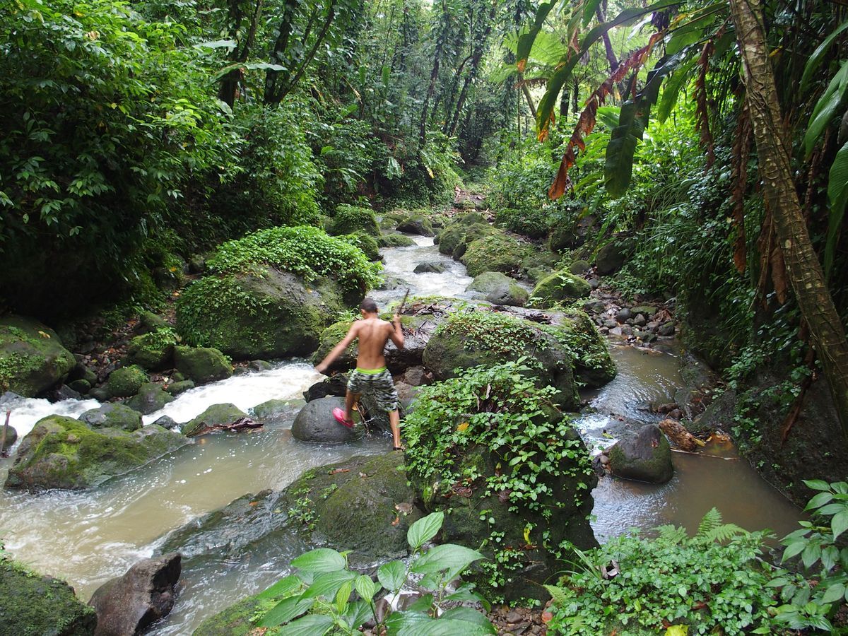 Concord patakmeder Grenada 