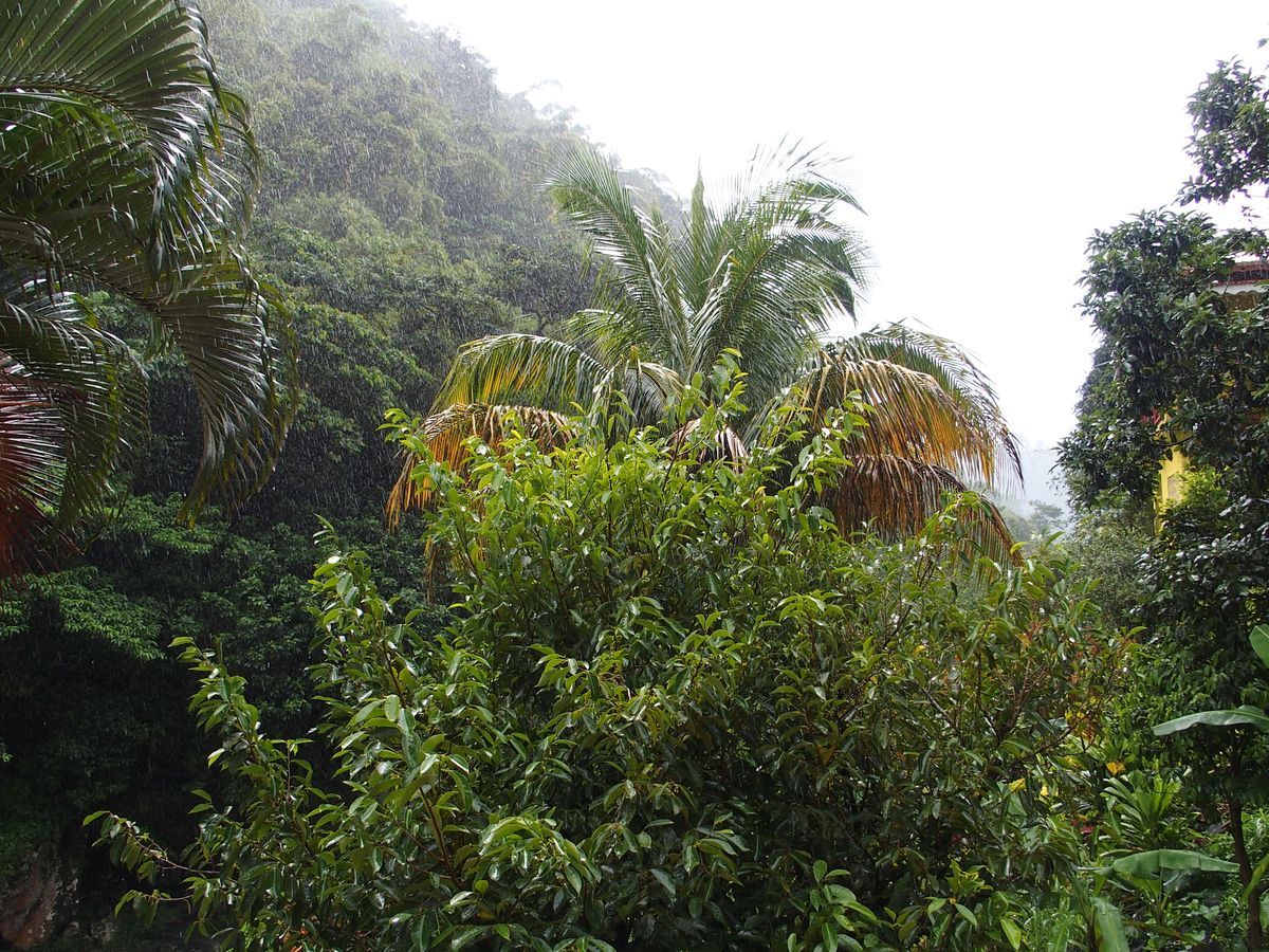 eserd esben Grenada