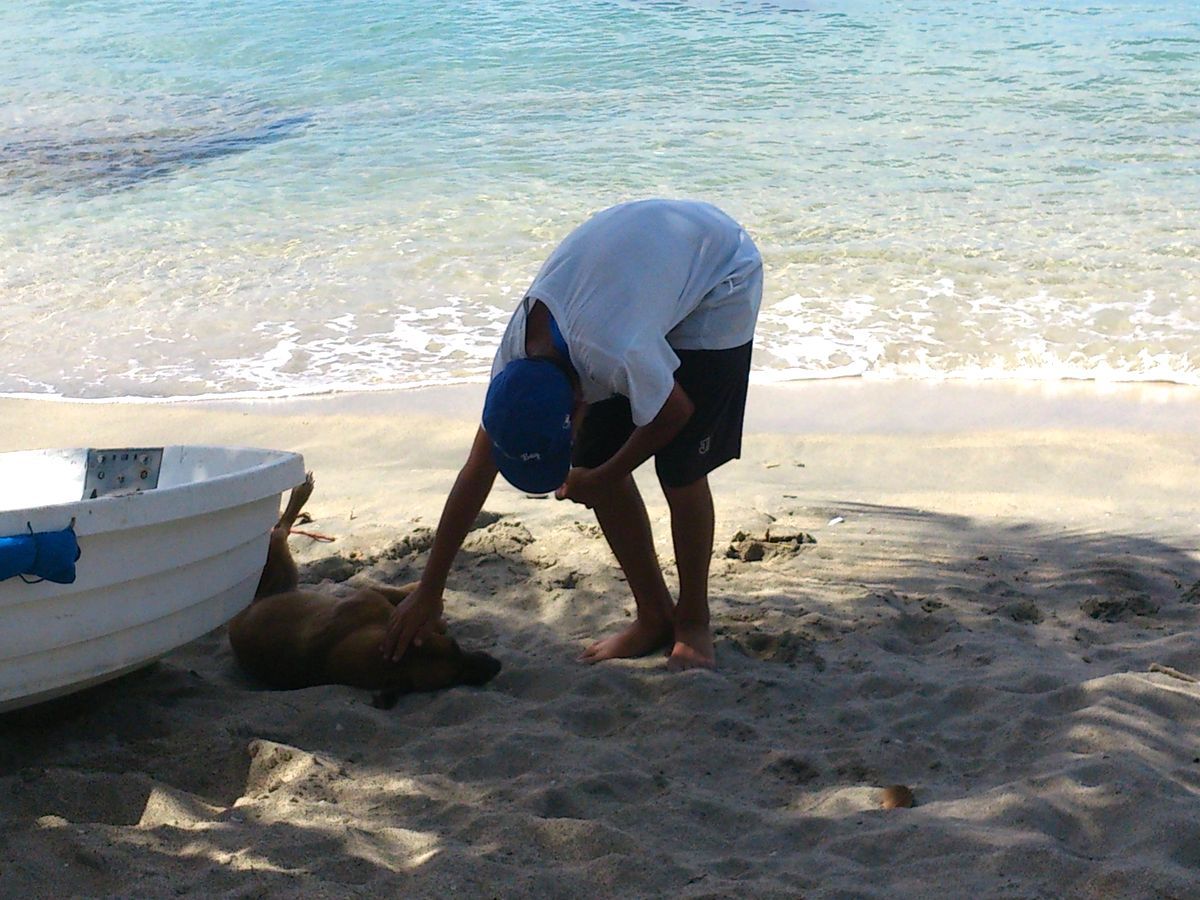boat dog almi szabo almos