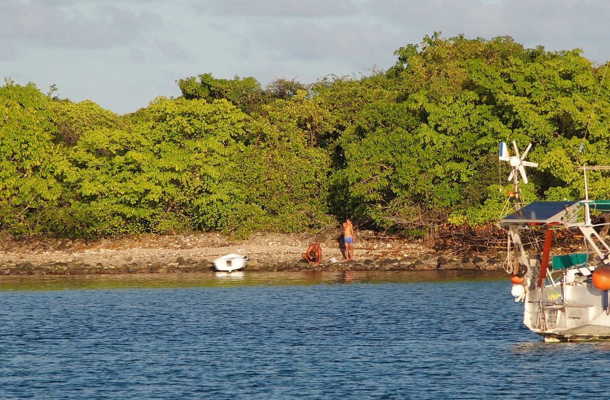 Union Island conch csiga almi szabo almos denes
