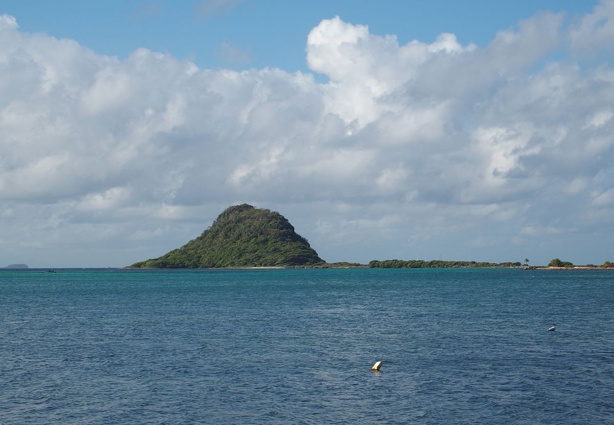 Frigate Island s mgtte az rbcok