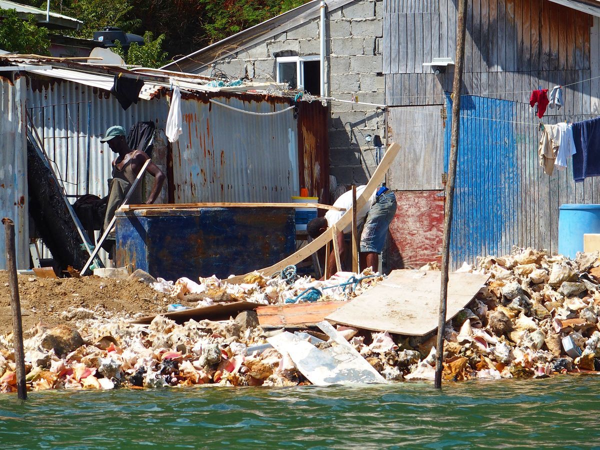 conch csiga Union Island Grenadines