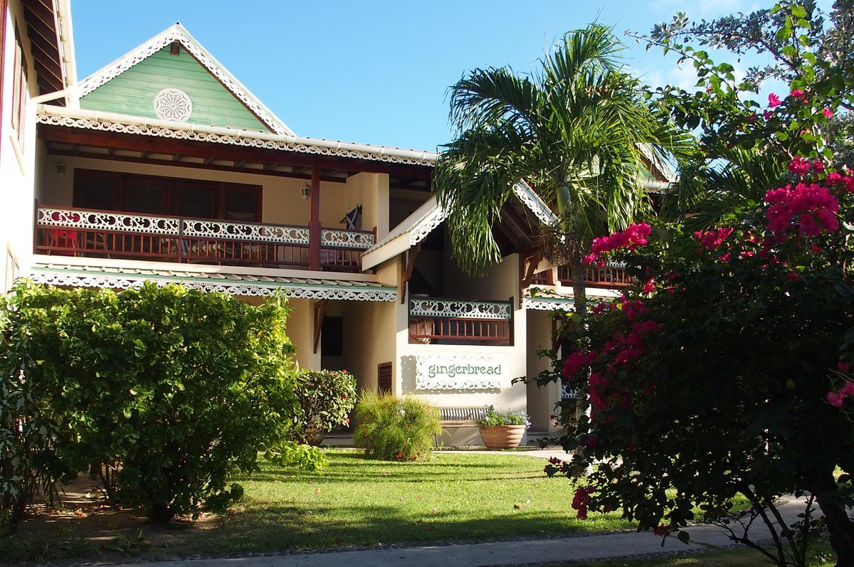 gingerbread hz  Bequia