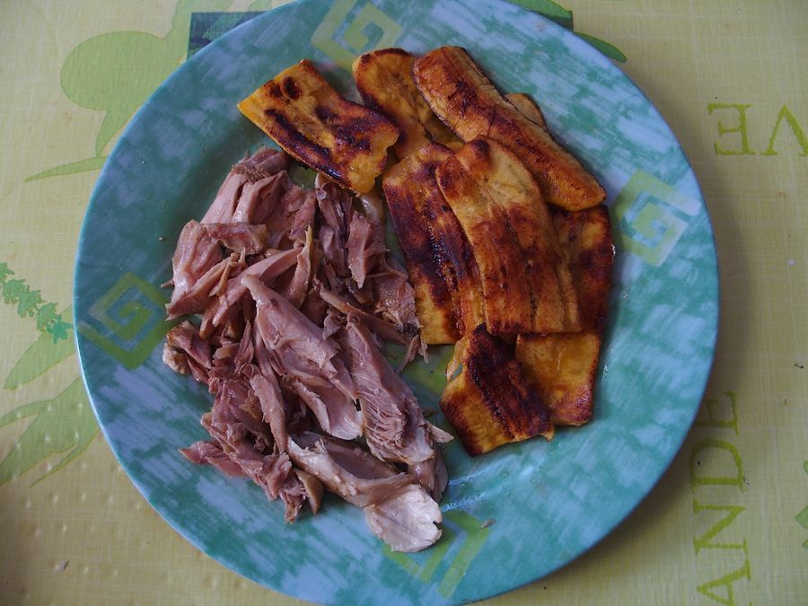 slt plantain s csirke