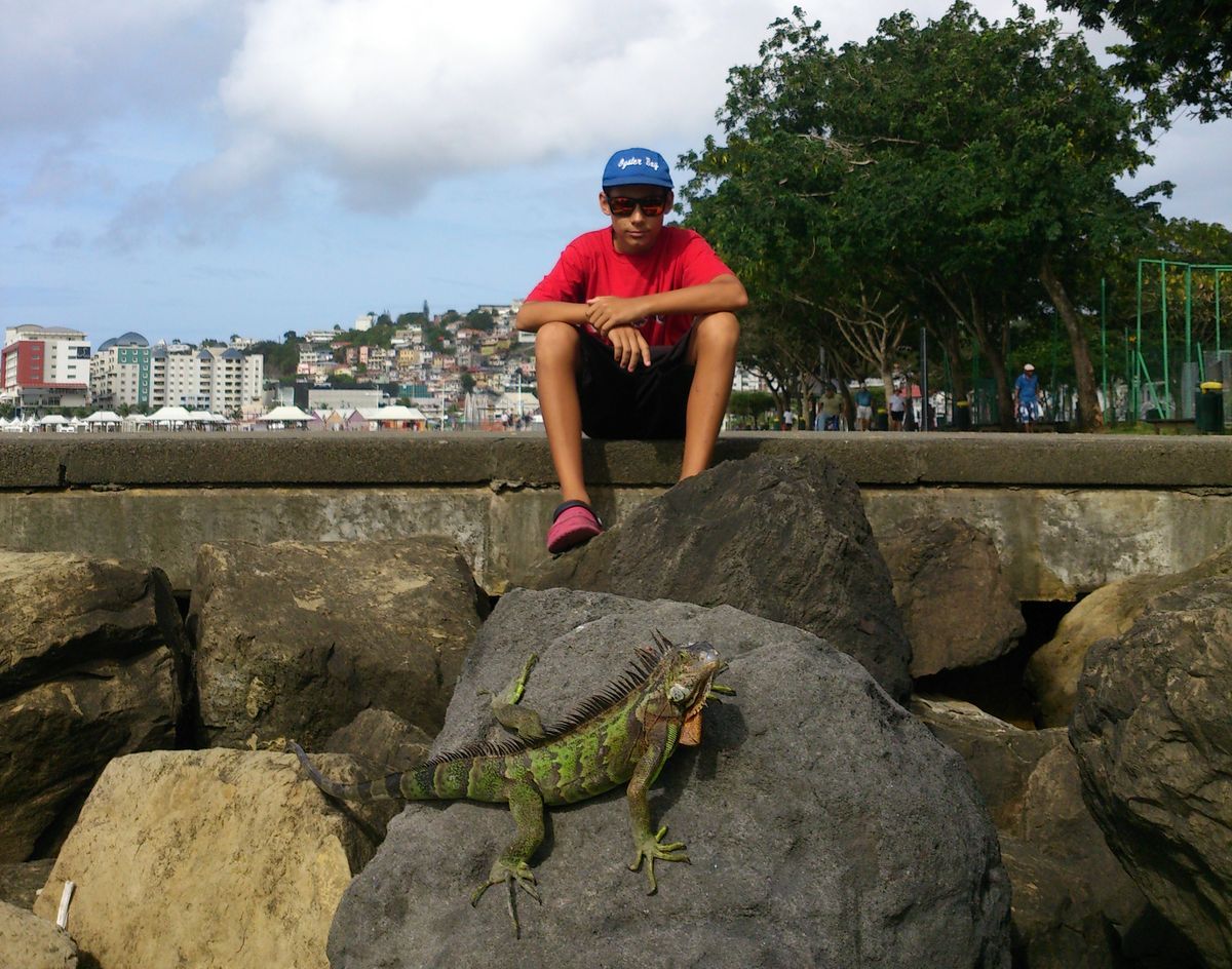 legun Martinique