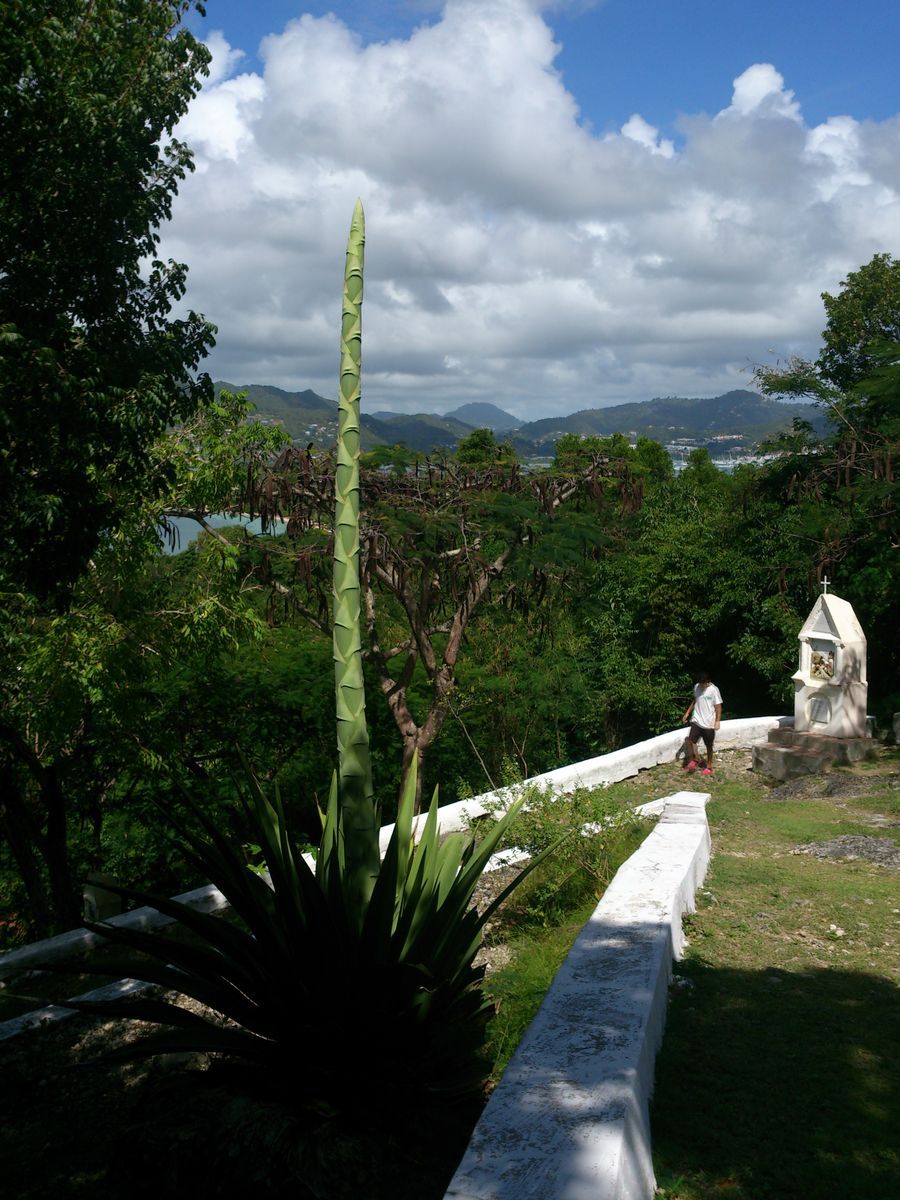 St. Anne Martinique Klvria-domb