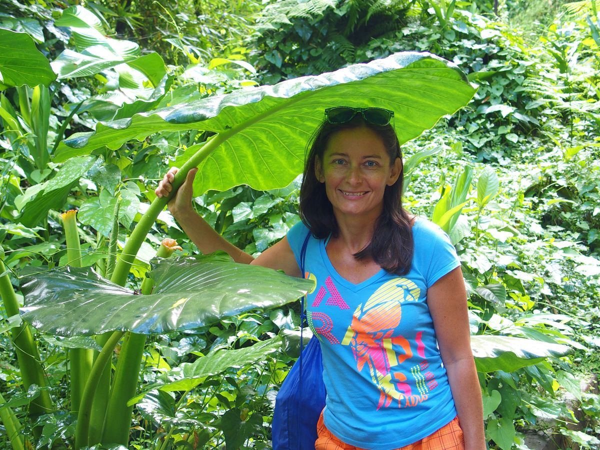 eserd Martinique