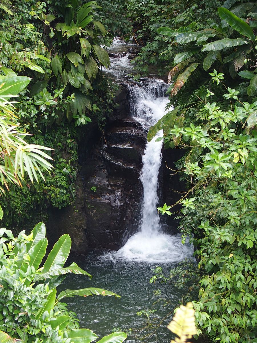 waterfall Baron