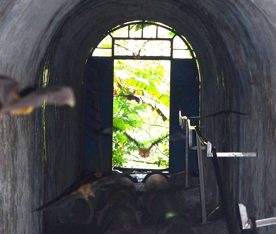 Didier tunnel
