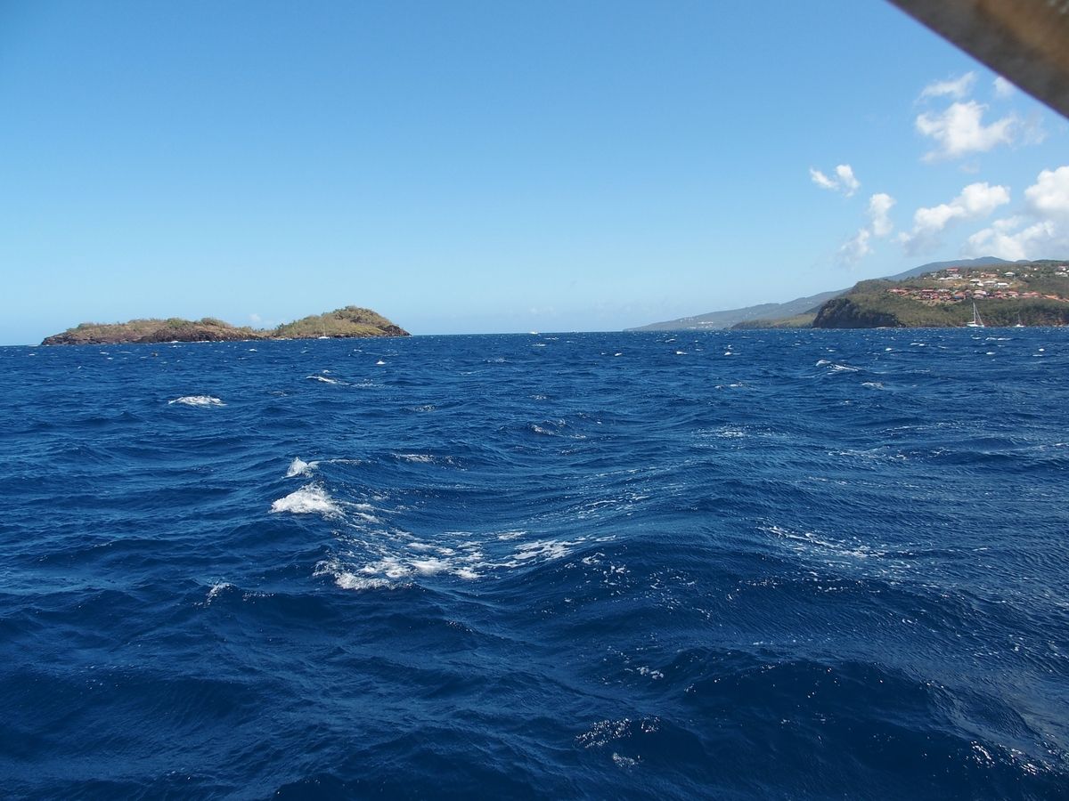Pigeon Islands Guadeloupe